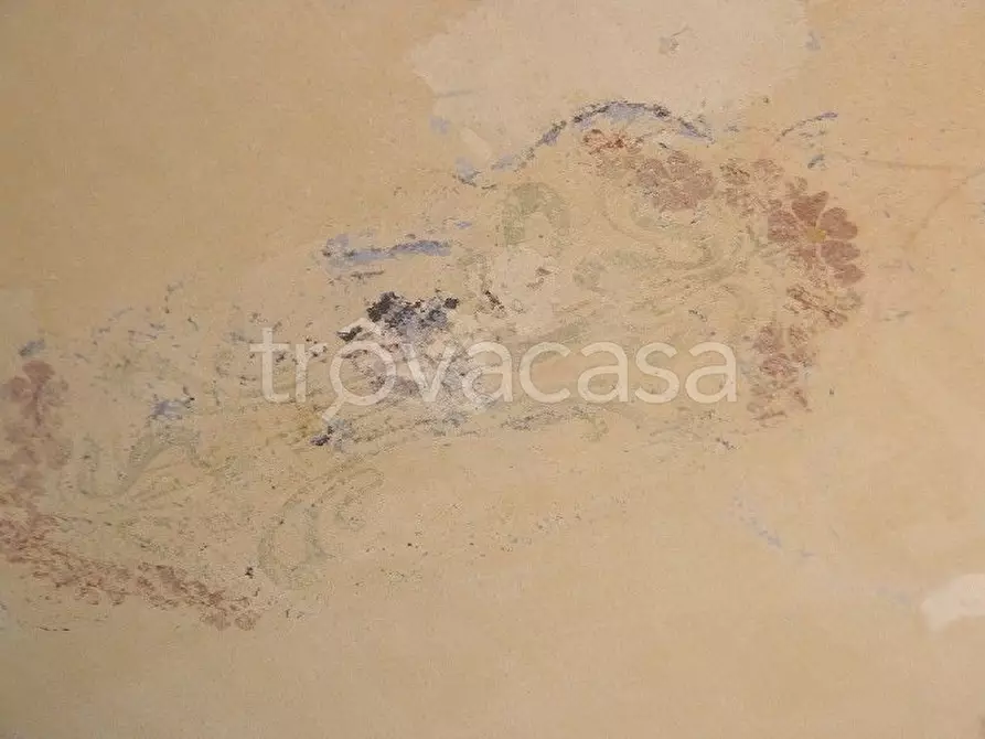 Immagine 19 di Appartamento in vendita  a Siena