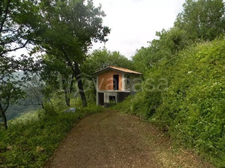 Immagine 13 di Casa indipendente in vendita  a Fosdinovo