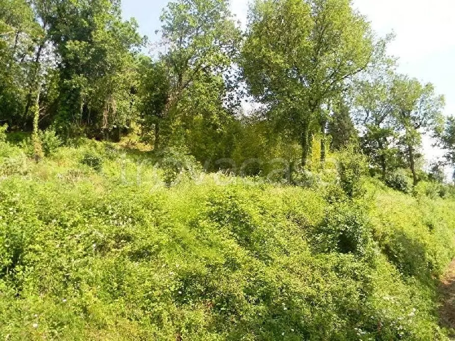 Immagine 7 di Casa indipendente in vendita  a Fosdinovo