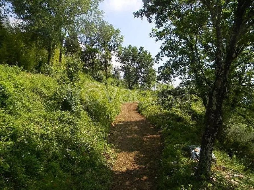 Immagine 8 di Casa indipendente in vendita  a Fosdinovo