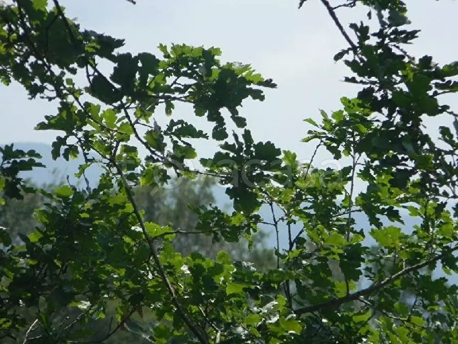 Immagine 6 di Casa indipendente in vendita  a Fosdinovo