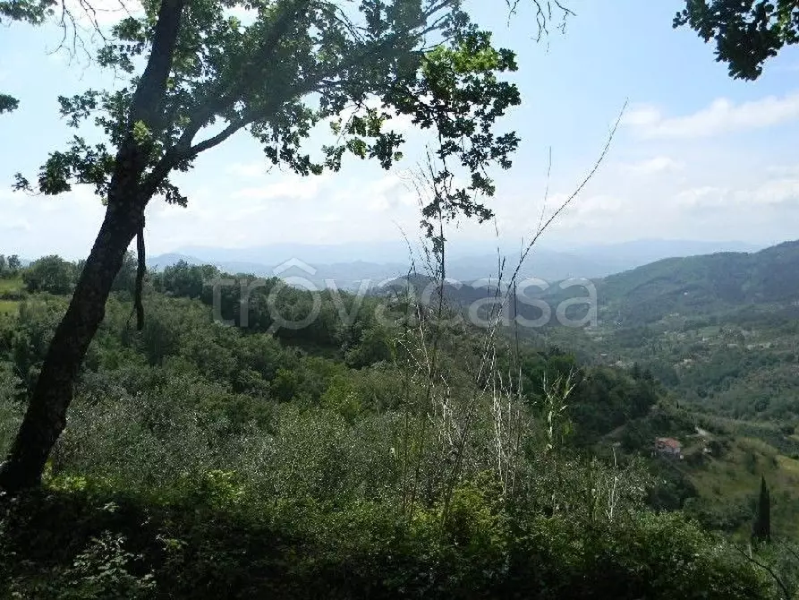 Immagine 3 di Casa indipendente in vendita  a Fosdinovo