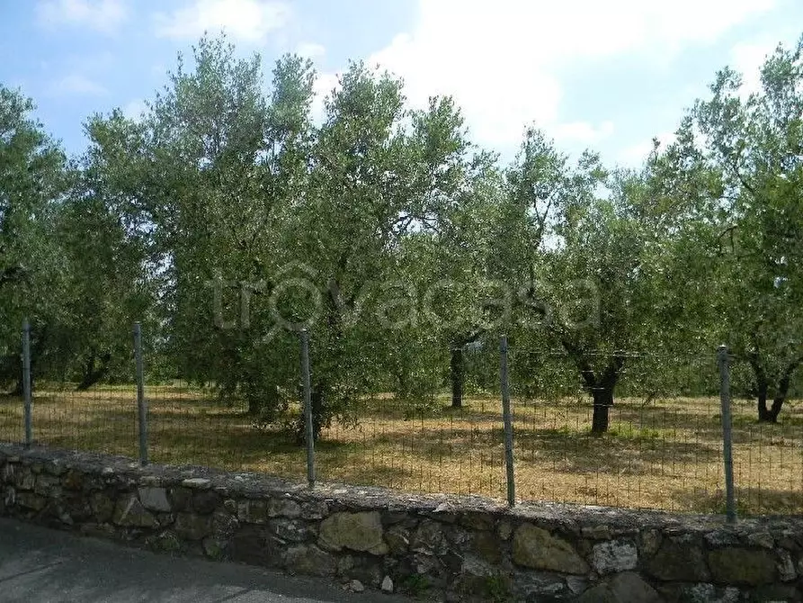 Immagine 12 di Casa indipendente in vendita  a Fosdinovo