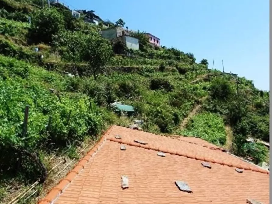 Immagine 10 di Rustico / casale in vendita  a La Spezia