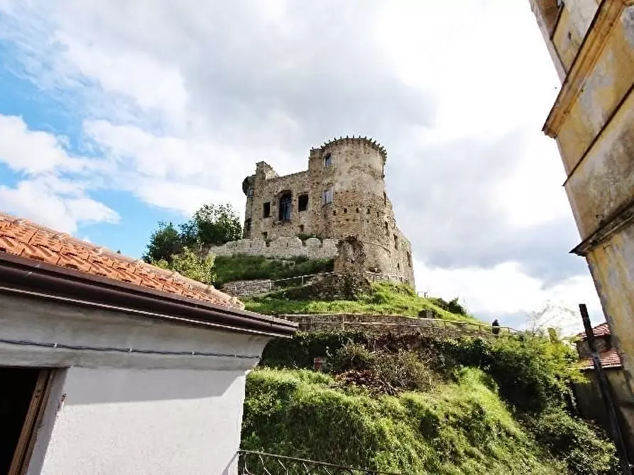 Immagine 21 di Appartamento in vendita  a Calice Al Cornoviglio