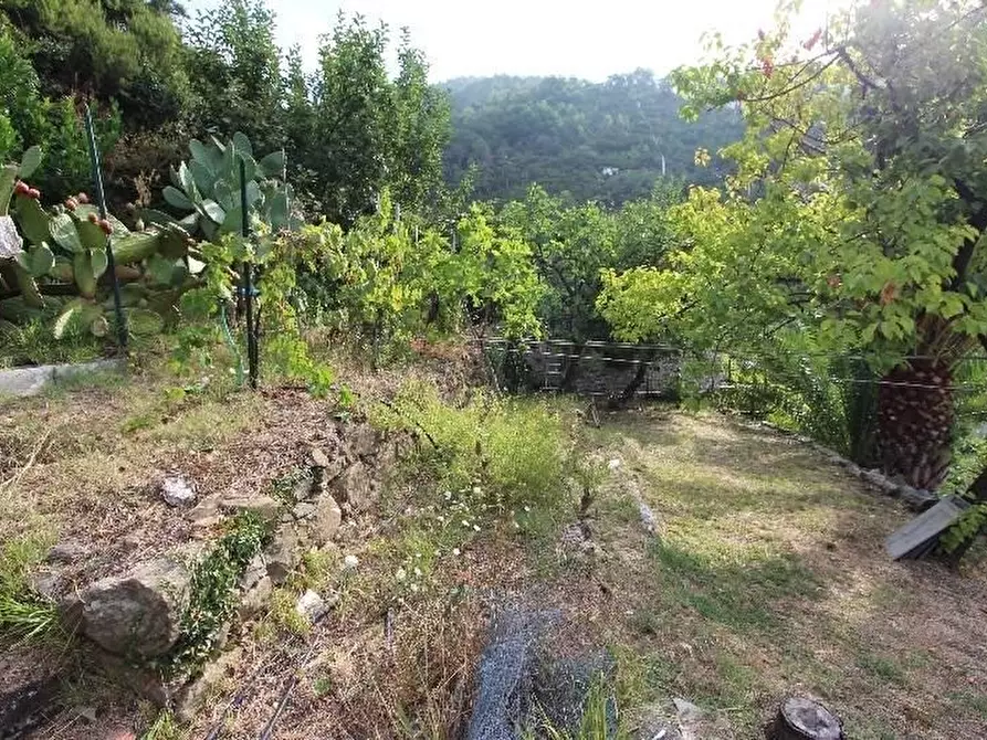 Immagine 52 di Casa indipendente in vendita  a Riomaggiore