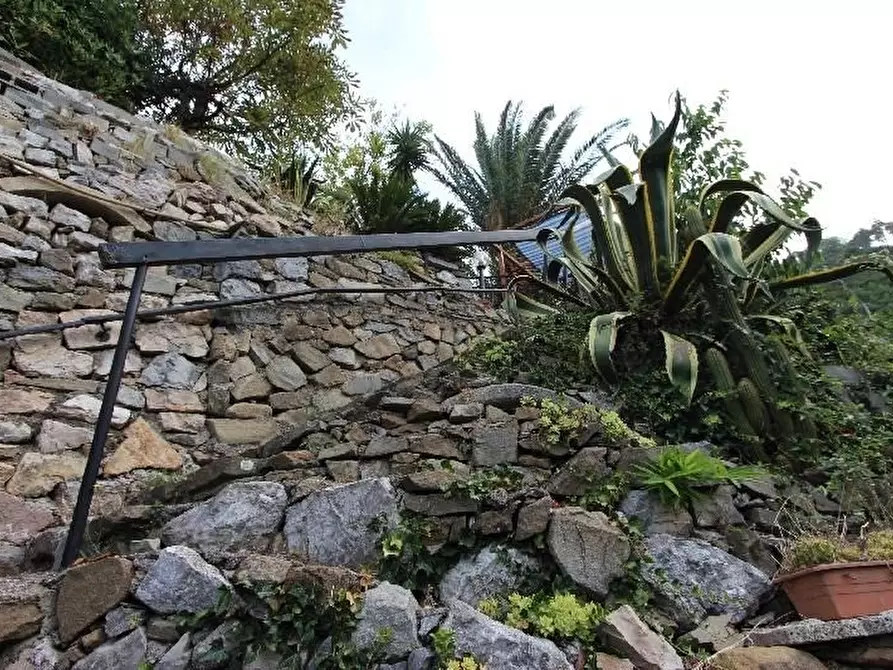 Immagine 41 di Casa indipendente in vendita  a Riomaggiore