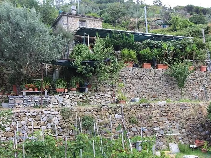 Immagine 44 di Casa indipendente in vendita  a Riomaggiore