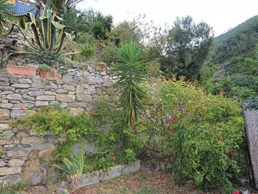 Immagine 43 di Casa indipendente in vendita  a Riomaggiore