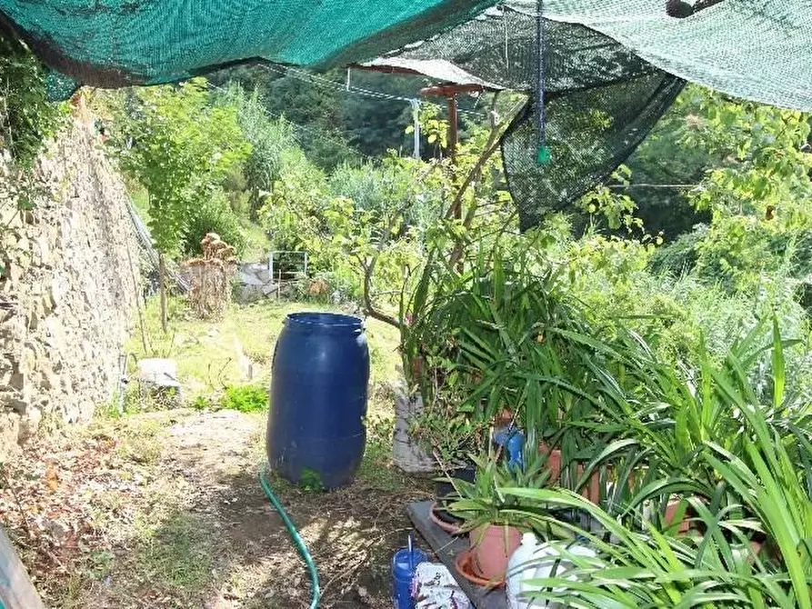 Immagine 53 di Casa indipendente in vendita  a Riomaggiore