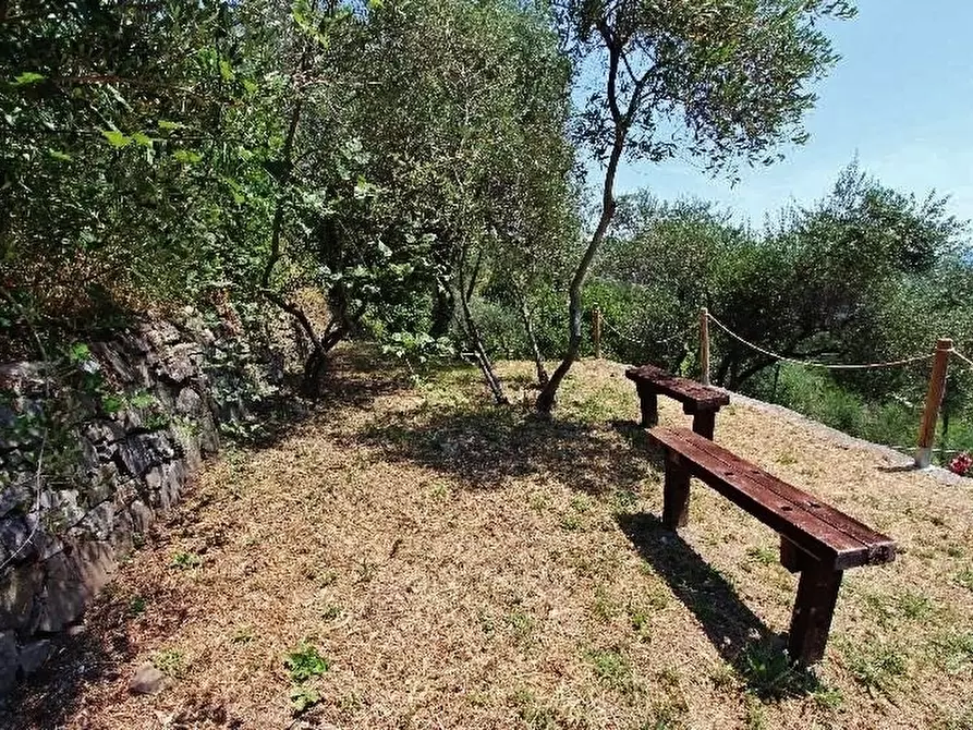 Immagine 47 di Negozio in vendita  a La Spezia