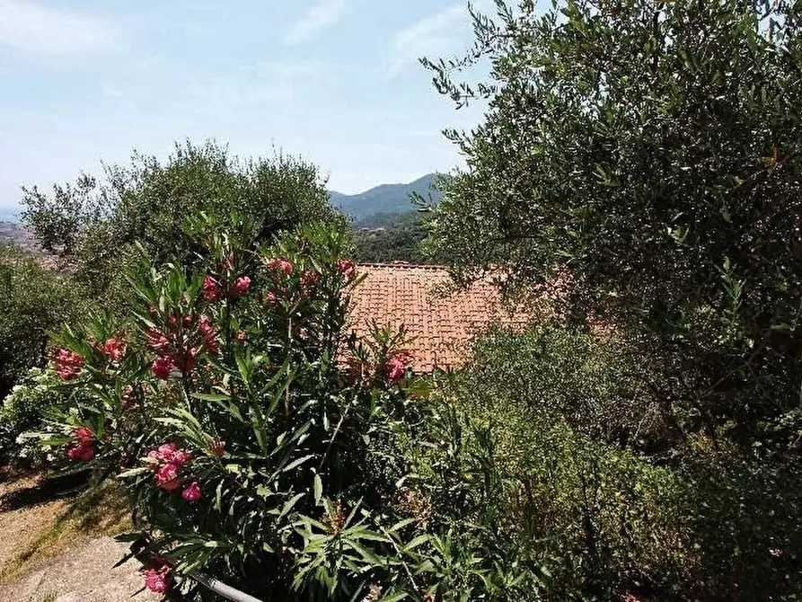 Immagine 49 di Negozio in vendita  a La Spezia