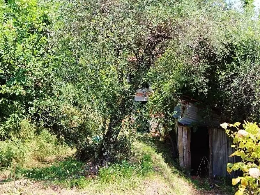 Immagine 41 di Negozio in vendita  a La Spezia