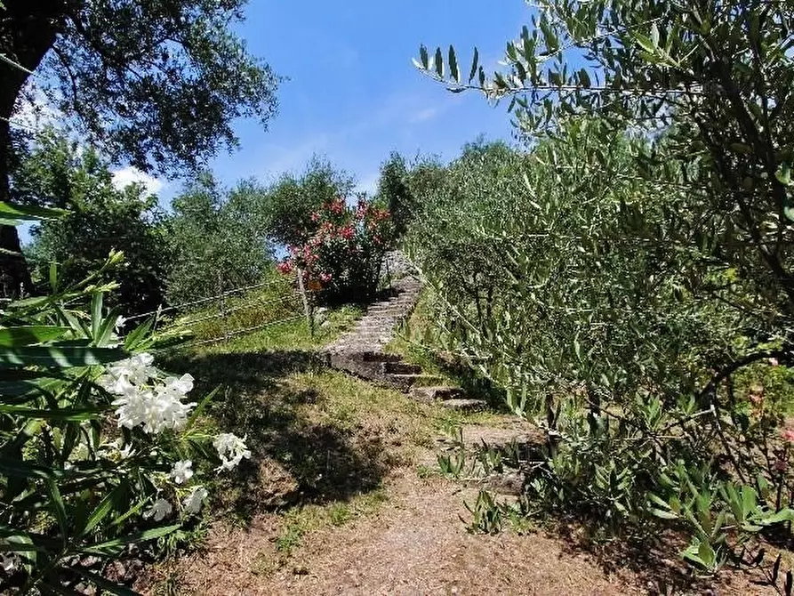 Immagine 40 di Negozio in vendita  a La Spezia