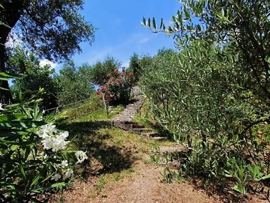 Immagine 39 di Negozio in vendita  a La Spezia