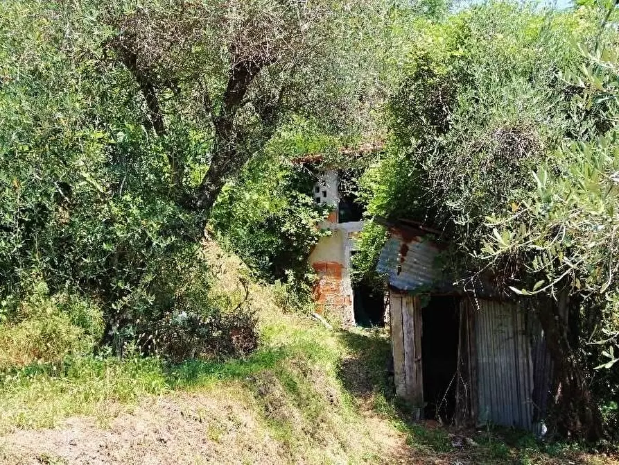 Immagine 50 di Negozio in vendita  a La Spezia