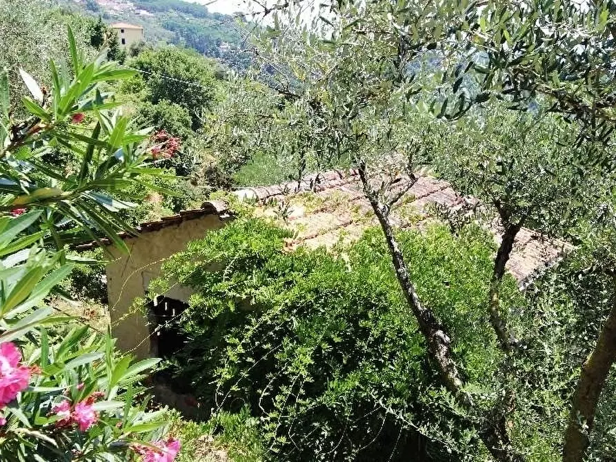 Immagine 42 di Negozio in vendita  a La Spezia