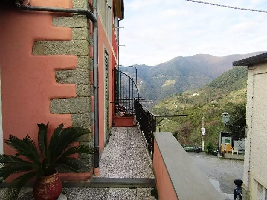 Immagine 18 di Appartamento in vendita  a Vernazza