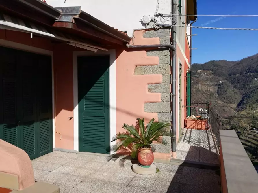 Immagine 13 di Appartamento in vendita  a Vernazza