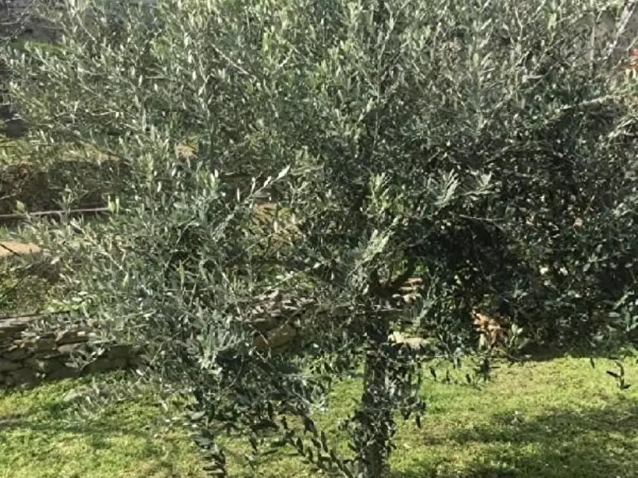 Immagine 5 di Casa semindipendente in vendita  a La Spezia