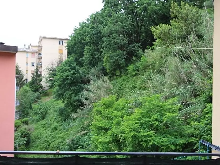 Immagine 20 di Appartamento in vendita  a La Spezia