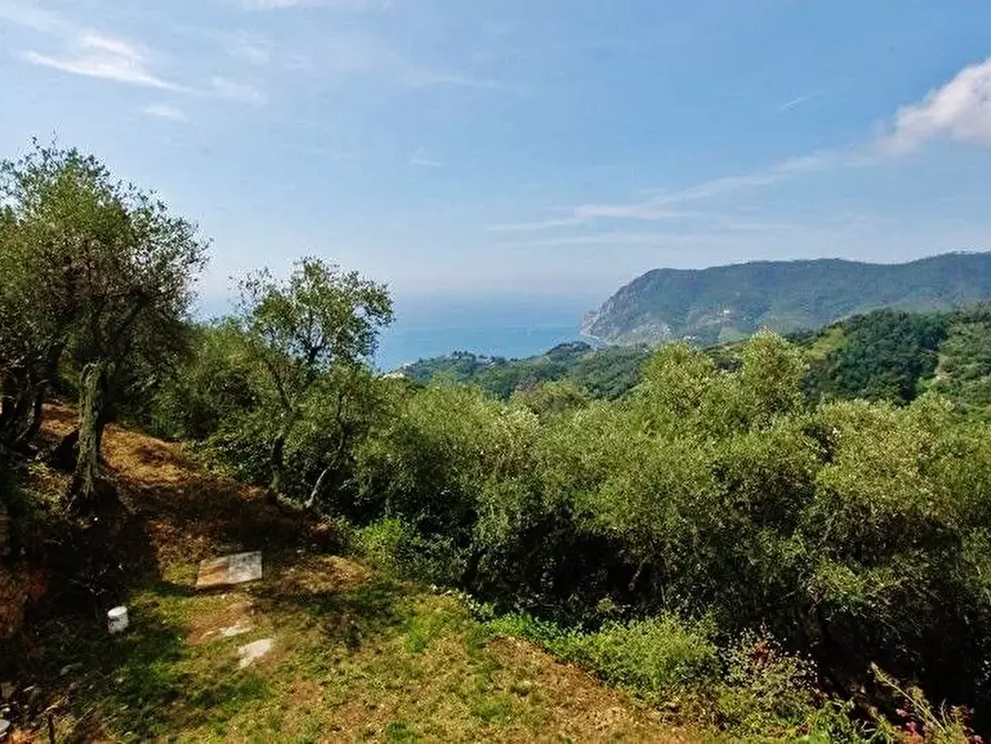 Immagine 18 di Casa semindipendente in vendita  a Monterosso Al Mare