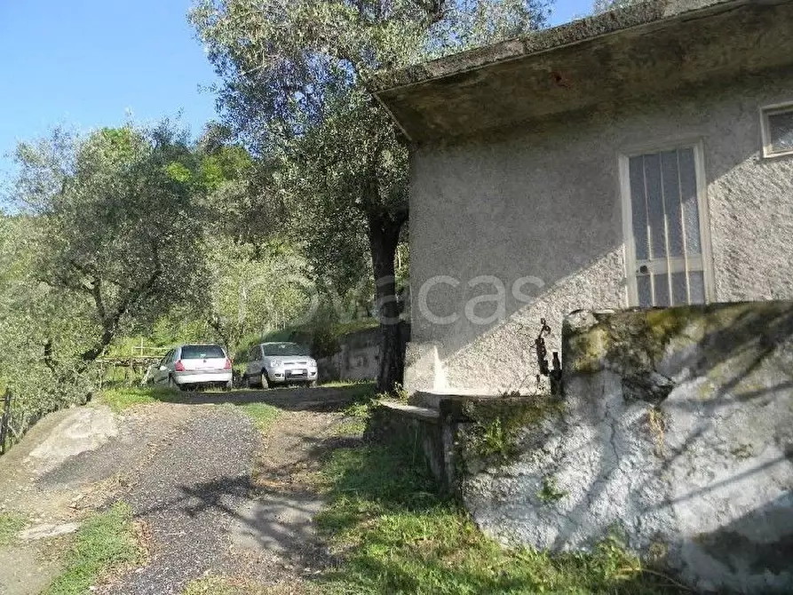 Immagine 3 di Casa indipendente in vendita  a Vezzano Ligure