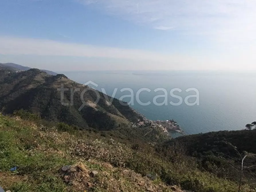 Immagine 2 di Rustico / casale in vendita  a Vernazza