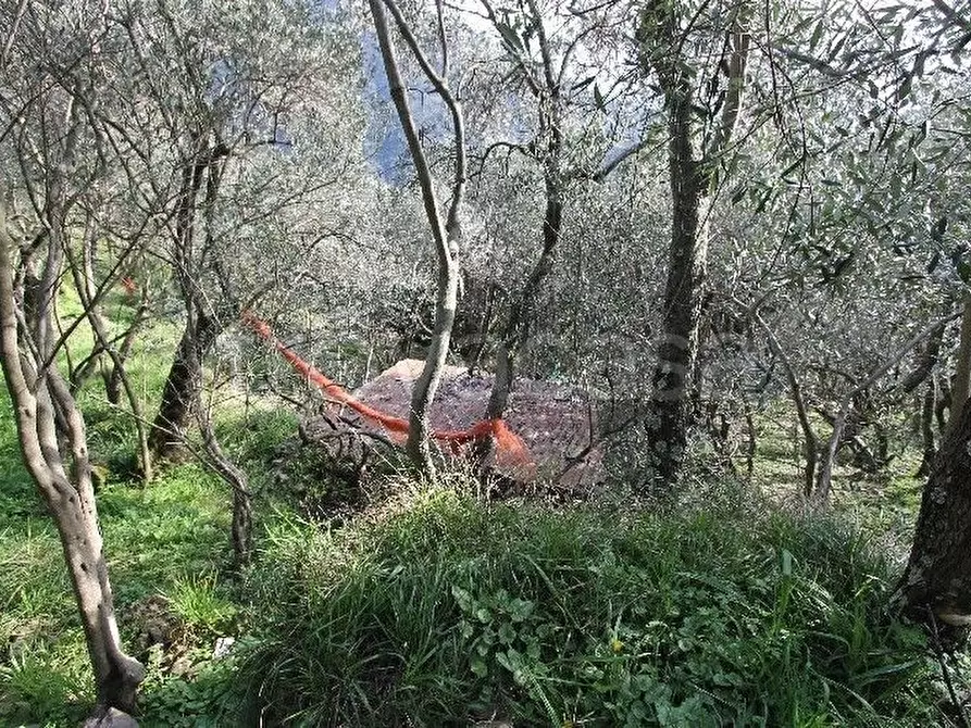 Immagine 8 di Rustico / casale in vendita  a Vernazza