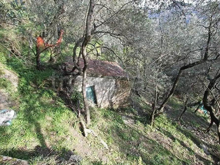Immagine 10 di Rustico / casale in vendita  a Vernazza
