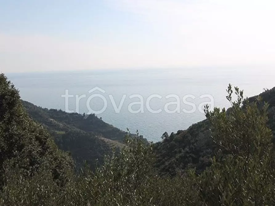 Immagine 6 di Rustico / casale in vendita  a Vernazza