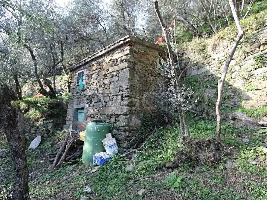 Immagine 7 di Rustico / casale in vendita  a Vernazza