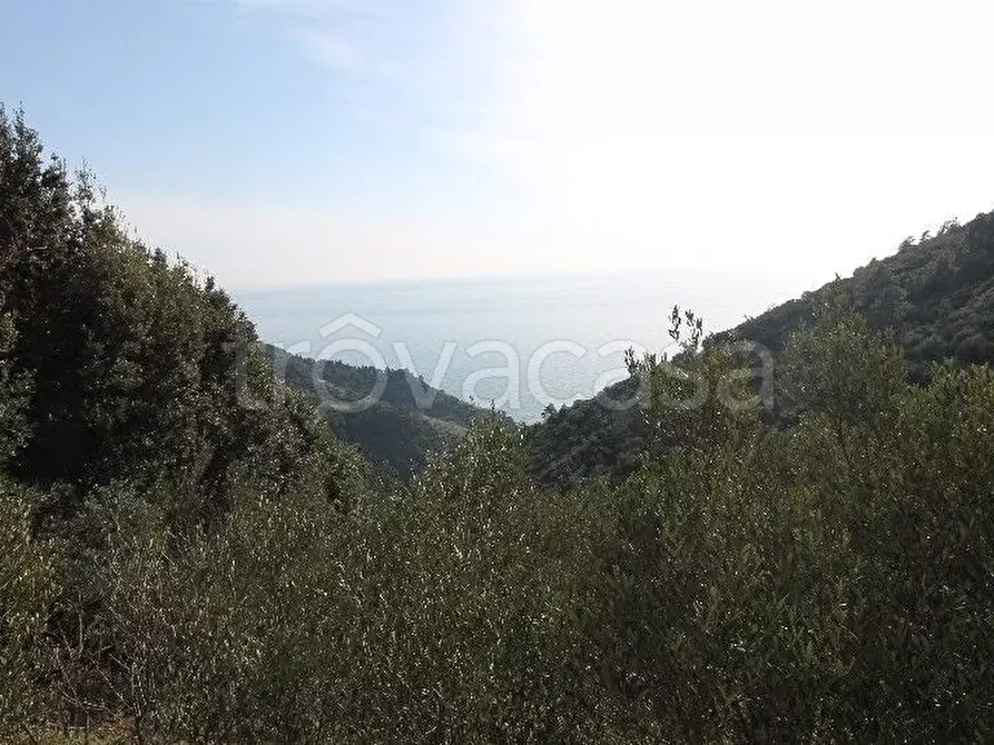 Immagine 5 di Rustico / casale in vendita  a Vernazza