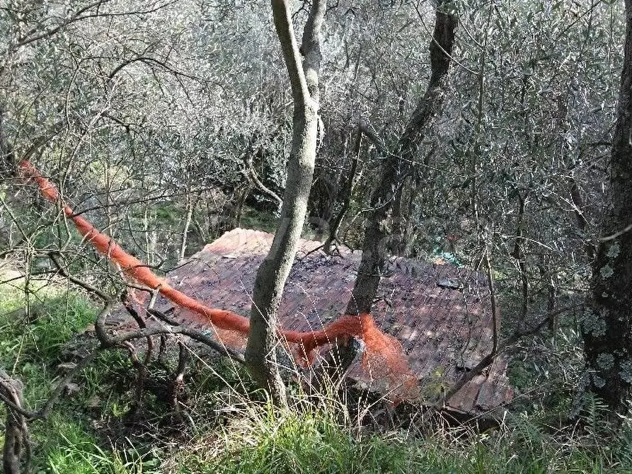 Immagine 9 di Rustico / casale in vendita  a Vernazza