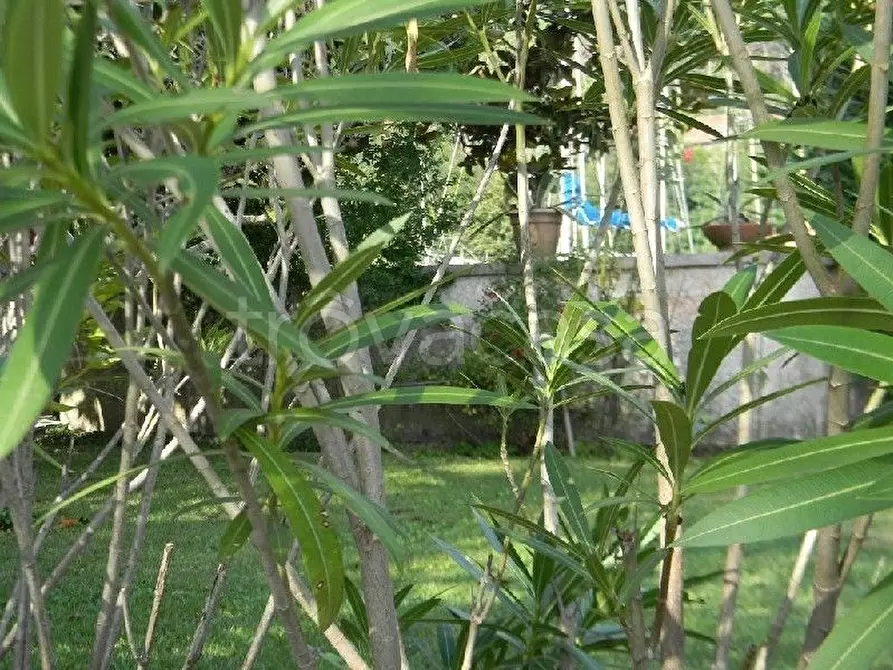 Immagine 23 di Casa bifamiliare in vendita  a Ameglia