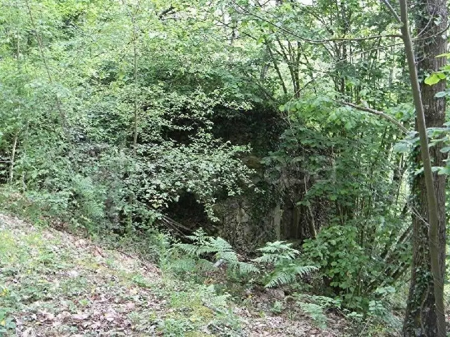 Immagine 1 di Rustico / casale in vendita  a La Spezia