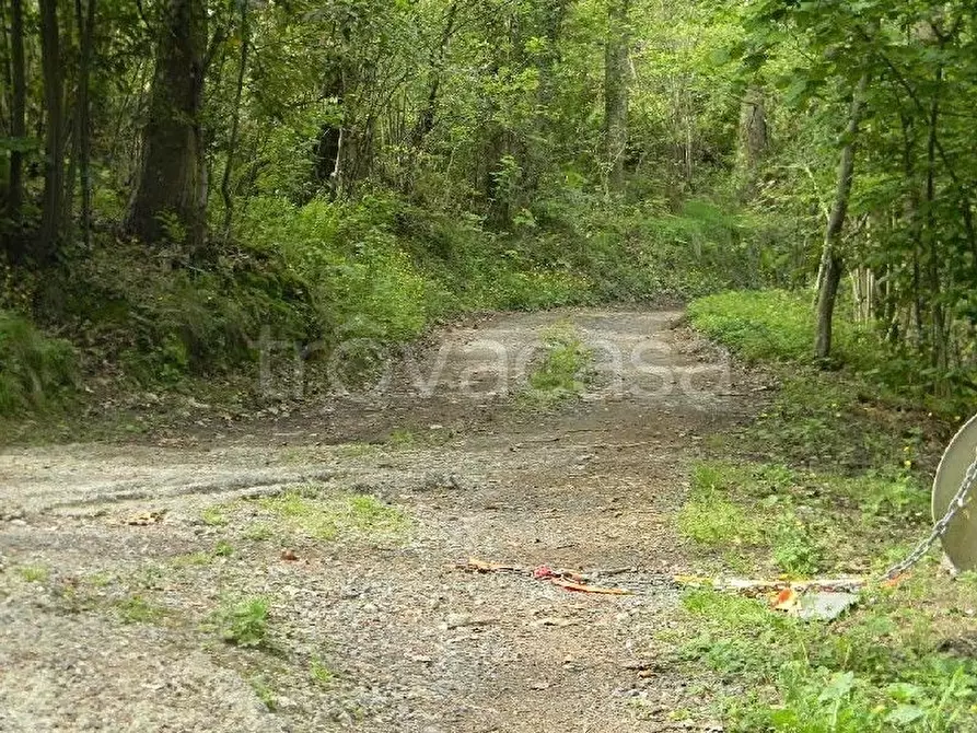 Immagine 4 di Rustico / casale in vendita  a La Spezia