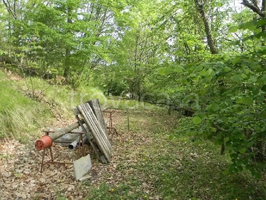 Immagine 2 di Rustico / casale in vendita  a La Spezia