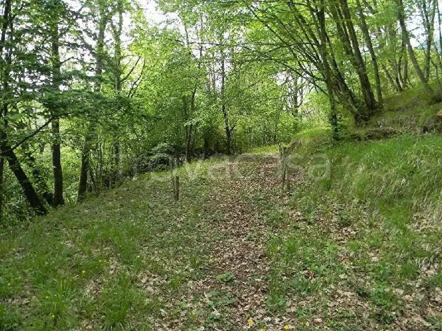 Immagine 3 di Rustico / casale in vendita  a La Spezia