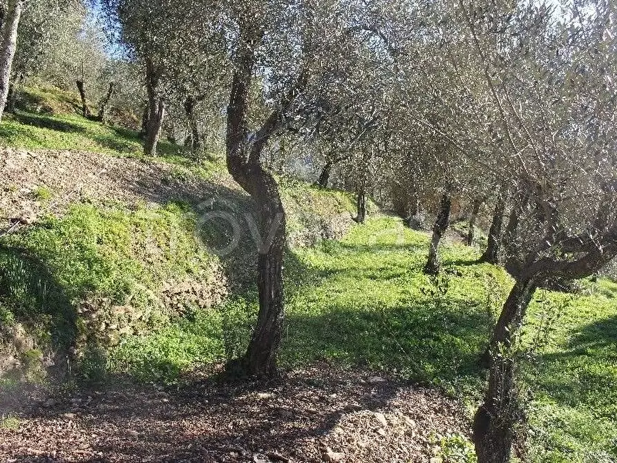 Immagine 3 di Casa semindipendente in vendita  a Sarzana