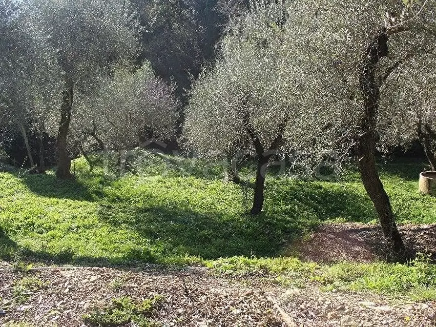Immagine 6 di Casa semindipendente in vendita  a Sarzana