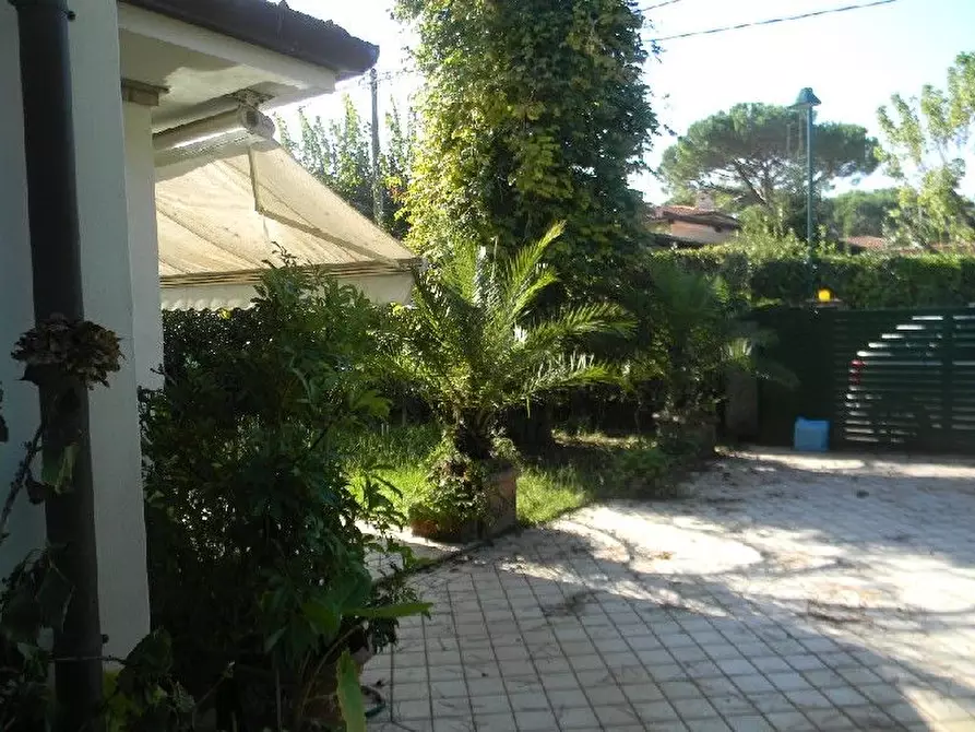 Immagine 14 di Villa in vendita  a Forte Dei Marmi