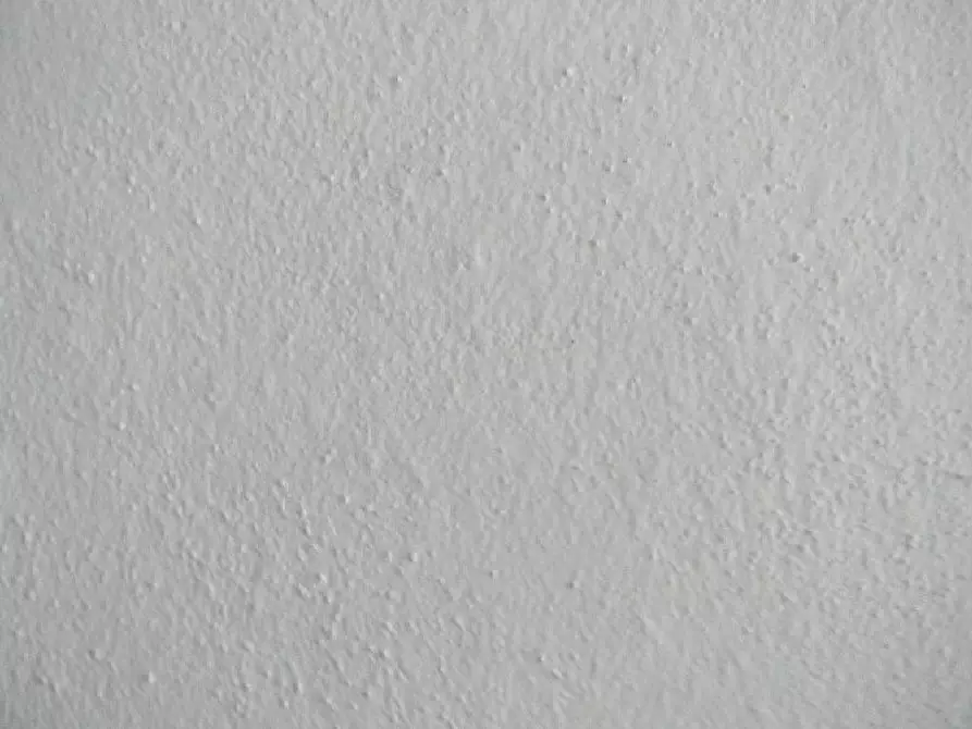 Immagine 13 di Casa semindipendente in vendita  a Camaiore