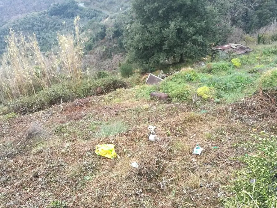 Immagine 14 di Rustico / casale in vendita  a Vernazza