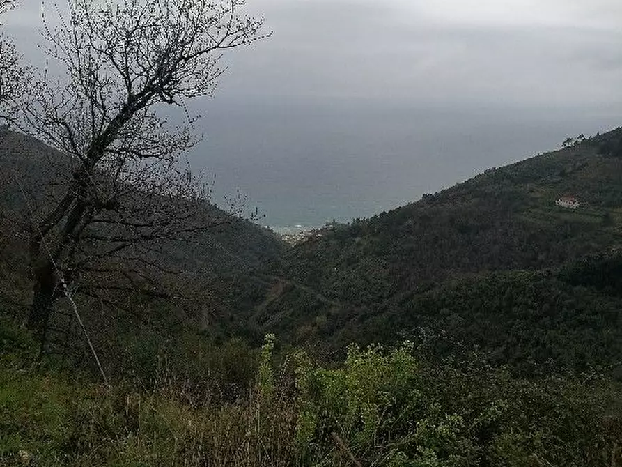 Immagine 20 di Rustico / casale in vendita  a Vernazza