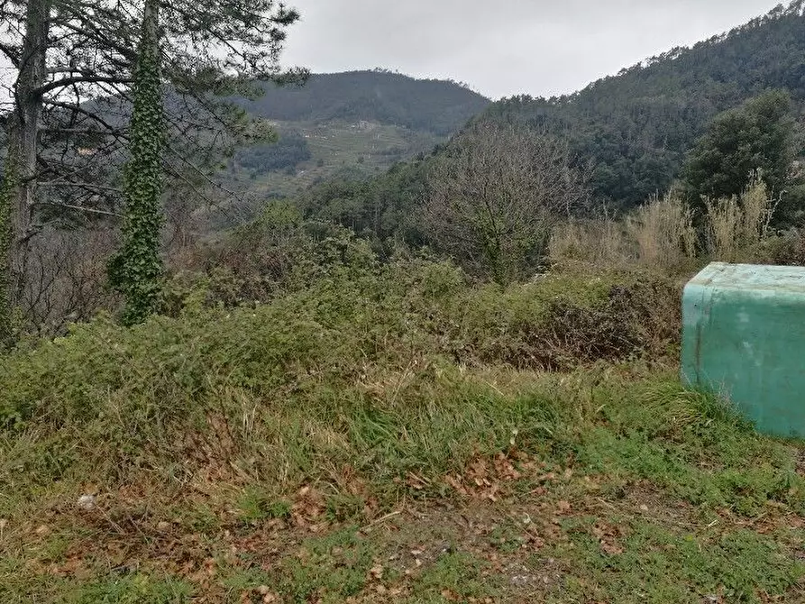 Immagine 5 di Rustico / casale in vendita  a Vernazza