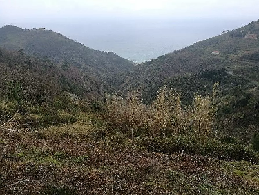 Immagine 2 di Rustico / casale in vendita  a Vernazza