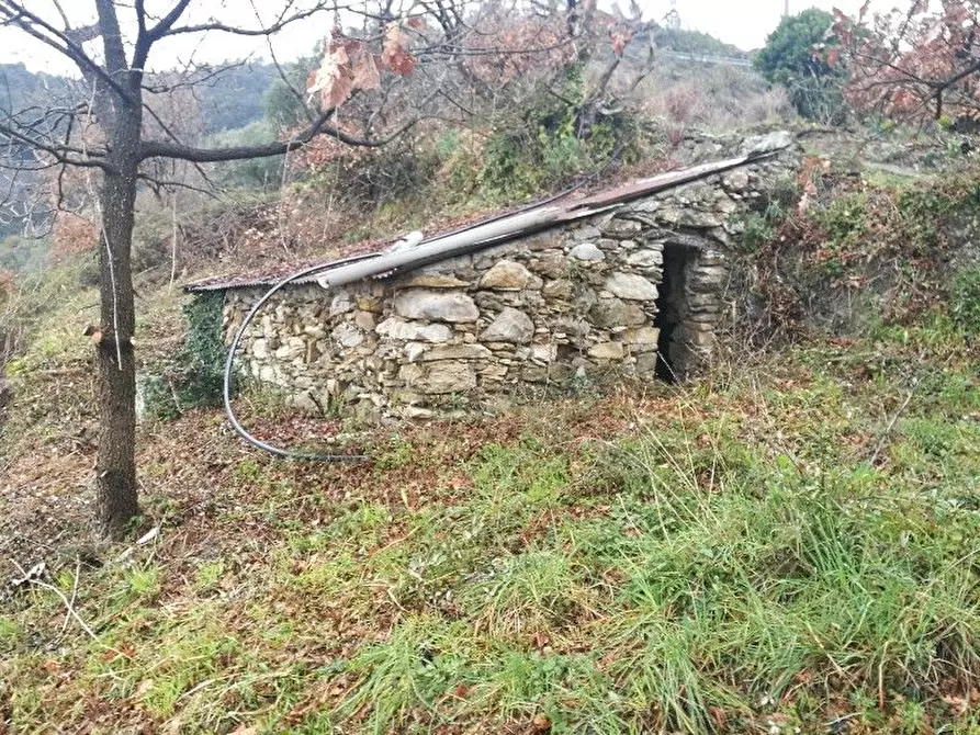 Immagine 3 di Rustico / casale in vendita  a Vernazza