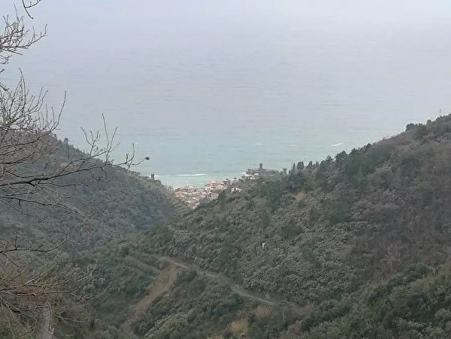 Immagine 16 di Rustico / casale in vendita  a Vernazza