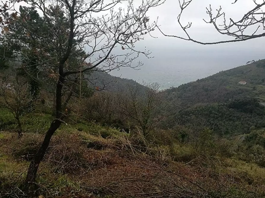 Immagine 11 di Rustico / casale in vendita  a Vernazza